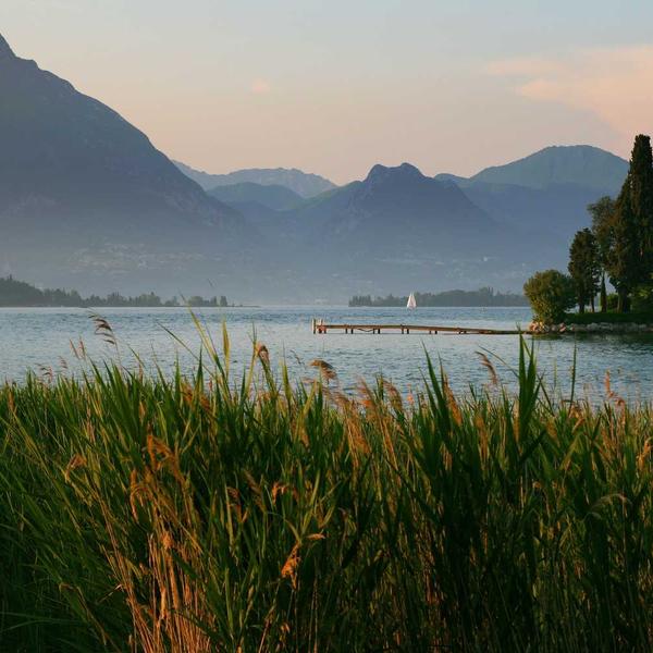 变形金刚 4 下载