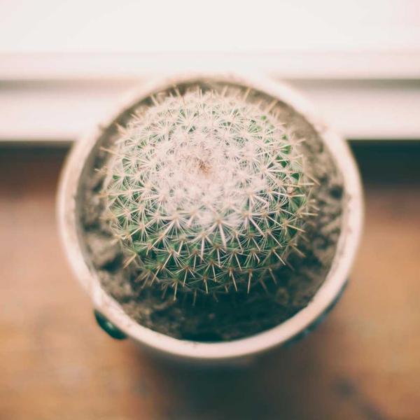 hotmail 邮箱登陆