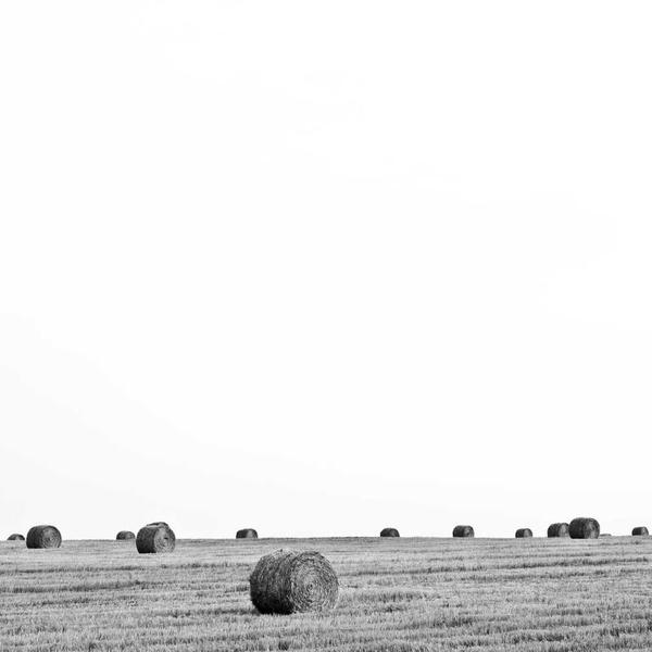 法藤钛项圈