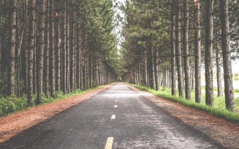 大表哥资源网靠谱吗，资源网下载资源安全吗