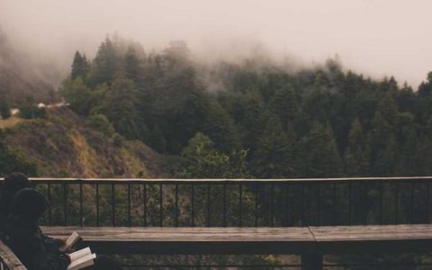 赚钱的网络项目靠谱吗，网上赚钱的真实方法