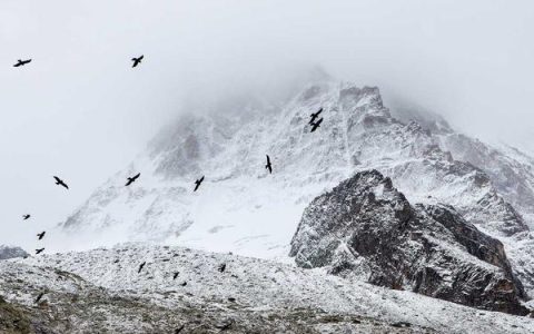 hotmail 邮箱登录入口在哪，hotmail 邮箱怎么登录