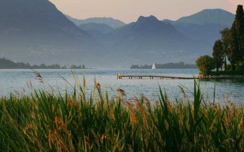 变形金刚 4 下载迅雷下载在哪里，高清资源怎么找