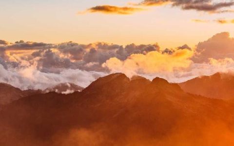 oppo 手机系列大全，2026 年 oppo 手机型号对比