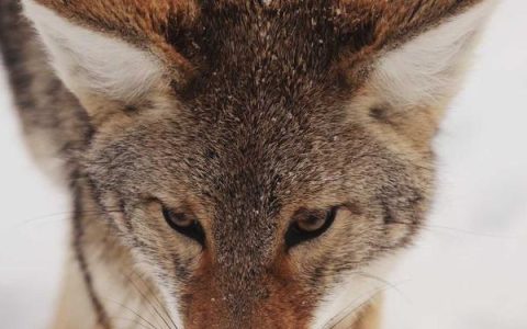 推特怎么注册账号，2026 年 Twitter 注册完整教程