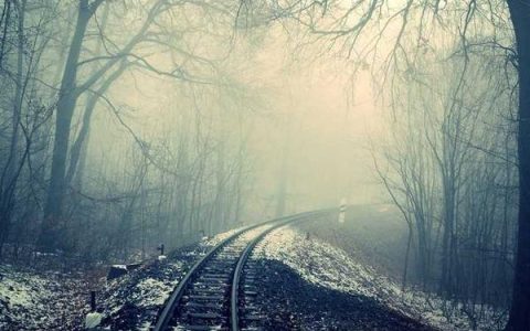 金山打字 2003 序列号，金山打字通新版对比