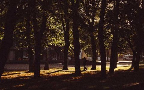 网络兼职是真的吗，网上兼职靠谱吗