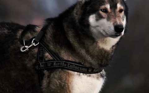 hotmail 邮箱登陆不了怎么办，hotmail 登录问题解决方法