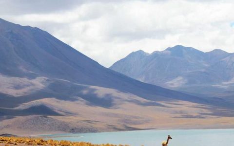 国际邮箱注册哪个好用，国外邮箱推荐 2026