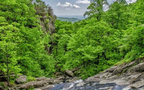 工商年报网上怎么申报，企业年报流程详解