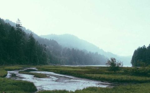 金山打字 2003 序列号怎么找，金山打字通激活码获取方法