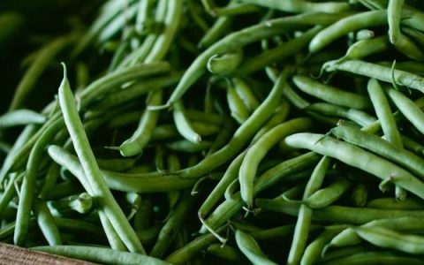 hotmail 邮箱登陆入口，hotmail 邮箱怎么登录