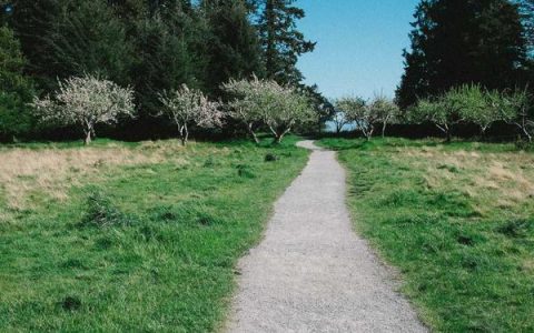 网络兼职是真的吗，网上兼职靠谱平台推荐