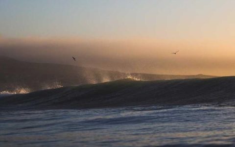 免费申请网号怎么弄，网号网证申请教程