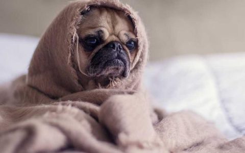 example 邮箱注册怎么弄，example 邮箱申请教程