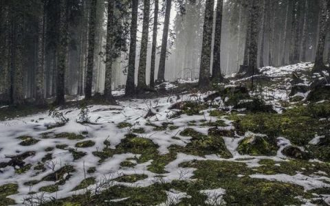 oppo 手机系列有哪些区别，find 和 reno 哪个更适合你