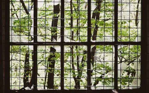 手机上网怎么赚钱，用手机赚钱的靠谱方法