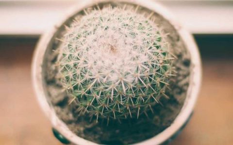 hotmail 邮箱登陆入口在哪，网页版和客户端有什么区别