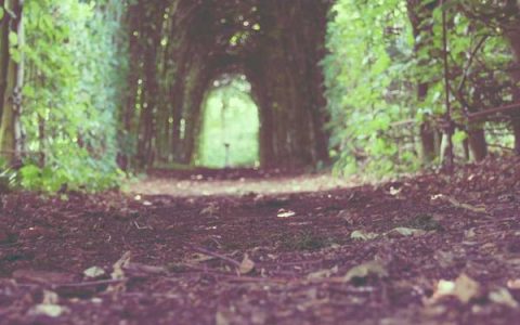 如何开网店视频教程，新手开网店完整流程