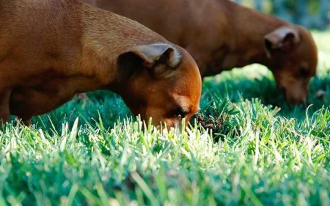 gmail注册怎么操作？gmail邮箱注册详细教程