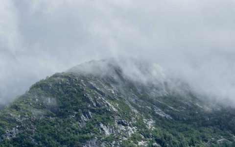 小红书赚钱有哪些方法？小红书赚钱真实经验分享