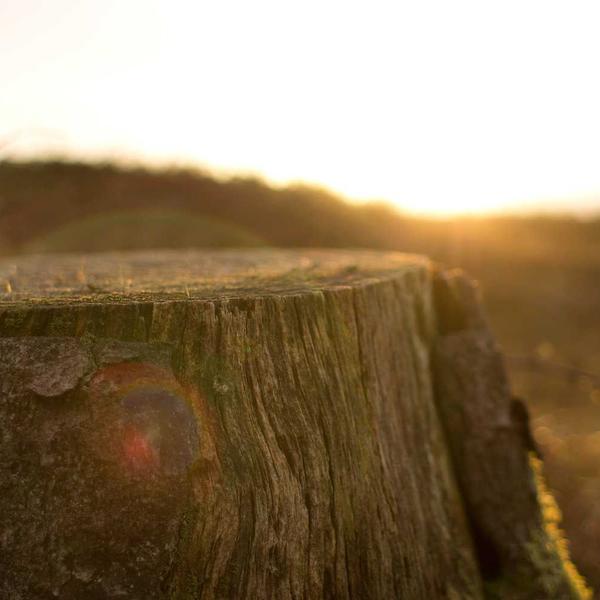迅雷下载地址怎么找