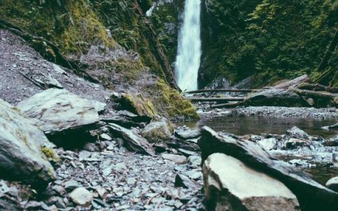 在家做什么赚钱？在家赚钱的真实项目推荐