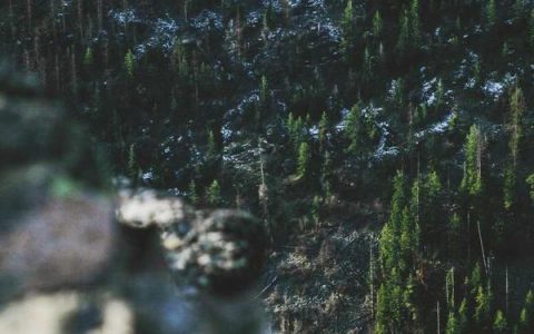 AI绘画生成器网站有哪些？AI绘画工具推荐和使用教程