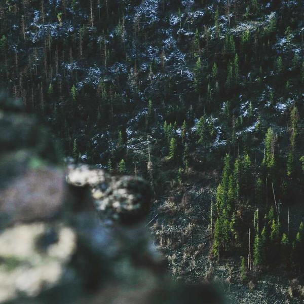 AI绘画生成器网站