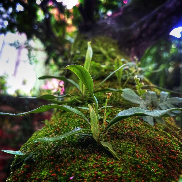 个体工商户年度申报怎么申报