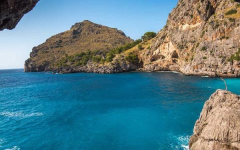 ins苹果手机怎么注册？iPhone注册Instagram详细教程