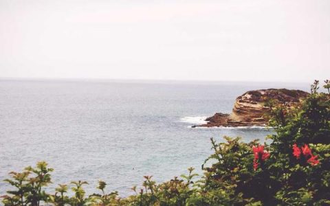 example邮箱注册有什么用？测试邮箱申请教程