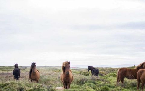 在家里上网兼职有哪些靠谱的？在家网络兼职推荐