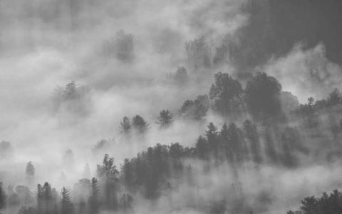 赚钱的网络平台有哪些？靠谱的网络赚钱渠道