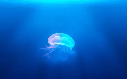 在家的网络兼职怎么做？适合新手的网络兼职推荐