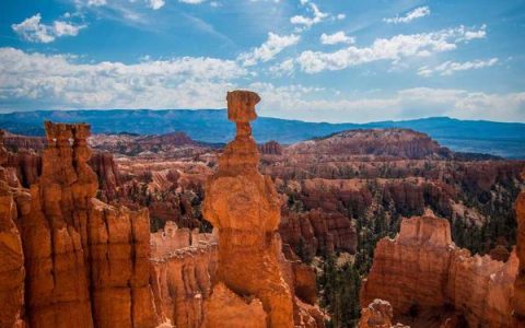 BT吧是什么？BT种子下载使用指南