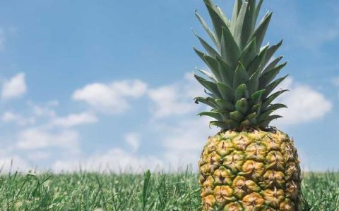 知行合一什么意思？知行合一的真正含义和实践