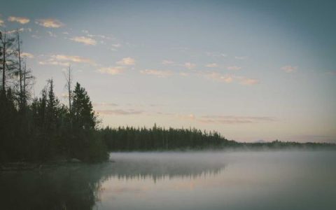 tao.1688.com是什么平台？深度解析阿里批发网站的玩法