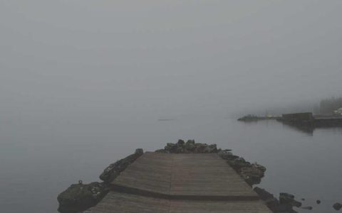 希壤官网怎么进，希壤官网打不开怎么办