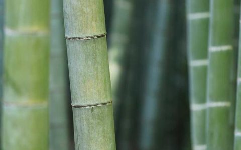 博客导航是什么，优秀的博客导航网站推荐