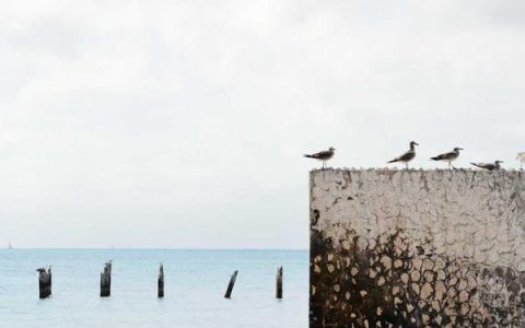 article_37_2
