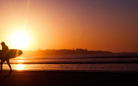 小米淘宝官方旗舰店怎么找，小米旗舰店和授权店怎么区分